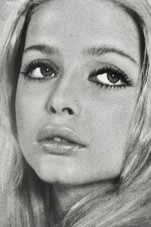 Ewa Aulin profil kép