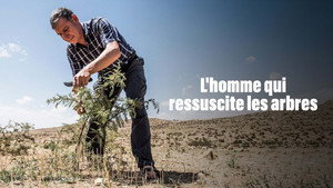 Der Waldmacher háttérkép