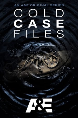 Cold Case Files poszter