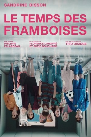 Le temps des framboises poszter