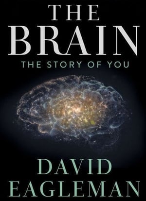 The Brain with David Eagleman poszter