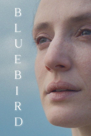 Lilit Lesser profil kép