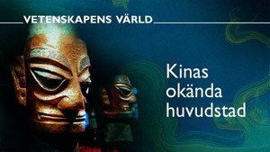Vetenskapens värld 52. évad Ep.5 5. epizód