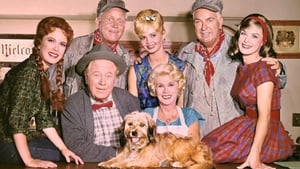 Petticoat Junction kép