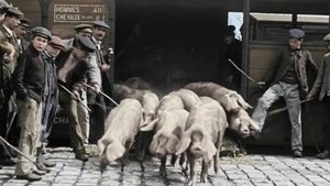 Nous paysans háttérkép
