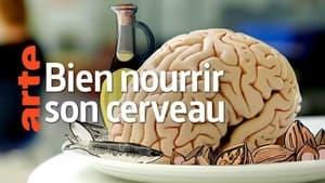 Bien nourrir son cerveau háttérkép