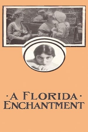 A Florida Enchantment poszter