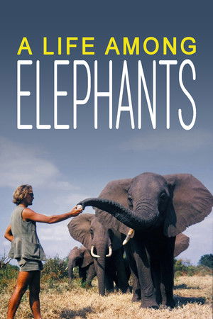 A Life Among Elephants poszter