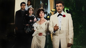 Kırmızı Karanfiller háttérkép