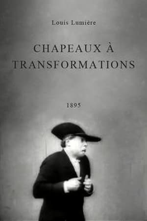 Chapeaux à transformations