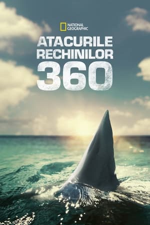 Cápák a strandon 360 poszter