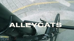 Alleycats háttérkép