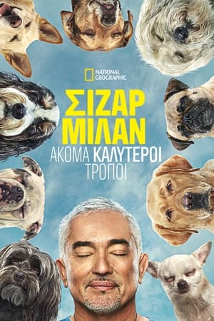 Cesar Millan: Jó gazdi, jó kutya poszter