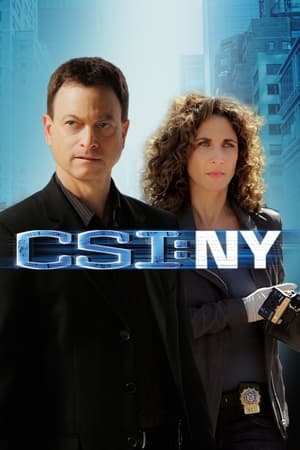 CSI: New York-i helyszínelők poszter