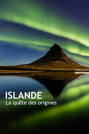 Islande, la quête des origines poszter