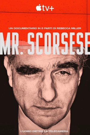 Mr. Scorsese poszter