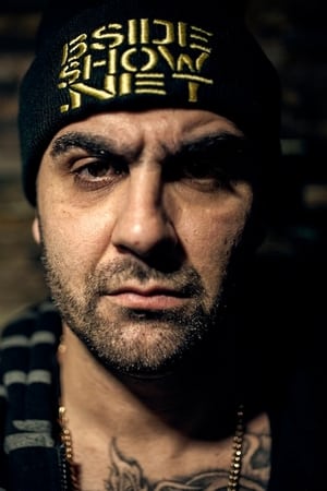 Dizaster