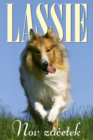 Lassie: The New Beginning poszter