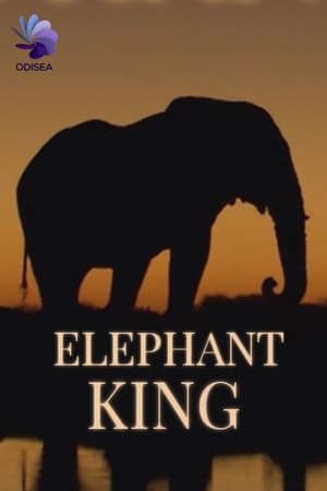 Elephant king