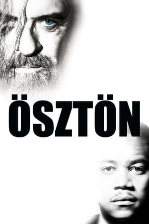 Ösztön