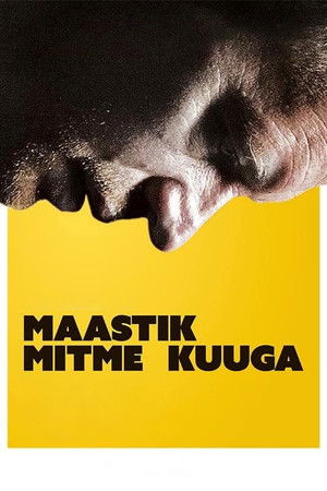 Maastik mitme kuuga poszter