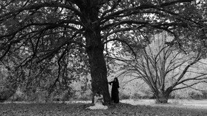 La Lune et Notre Sang háttérkép