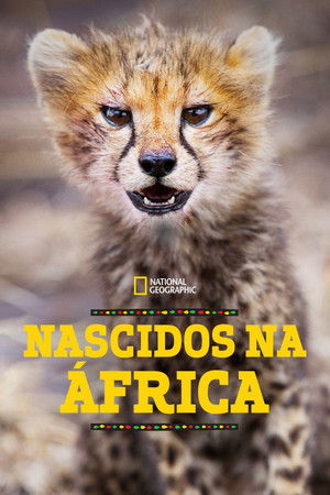 Afrikában születtek poszter