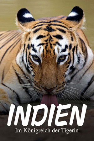 Maya, la tigresse du Maharashtra poszter