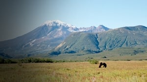 Wildes Russland kép