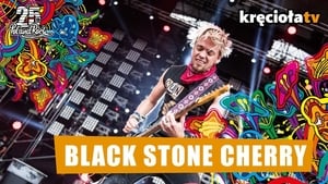 Black Stone Cherry - Pol'and'Rock Festival 2019 háttérkép