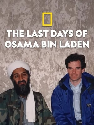 Bin Laden utolsó napjai poszter