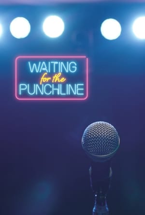 Waiting For The Punchline poszter