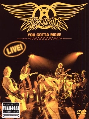 Aerosmith - You Gotta Move poszter