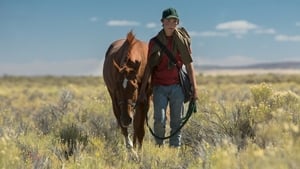 Lean on Pete háttérkép