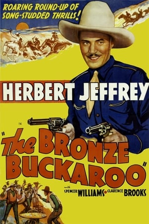 The Bronze Buckaroo poszter