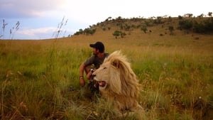 African Safari háttérkép