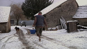 Après l'hiver, le printemps háttérkép