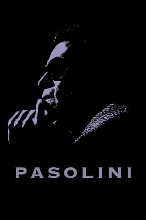 Pasolini poszter