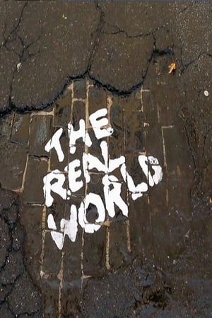 The Real World