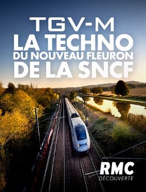 TGV M : La Techno du nouveau fleuron de la SNCF poszter