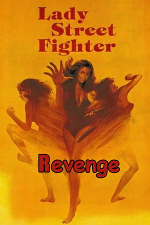 Revenge of Lady Street Fighter poszter
