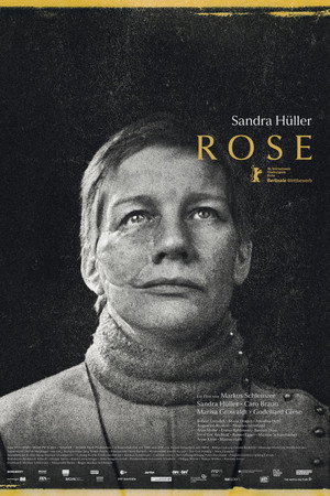Rose poszter