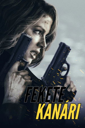 Fekete kanári