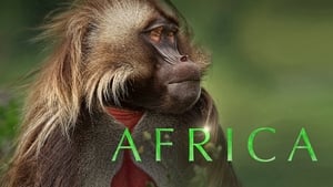 David Attenborough: Afrika kép