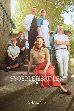 Sygeplejeskolen