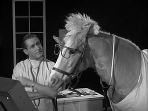 Mister Ed 3. évad Ep.25 25. epizód