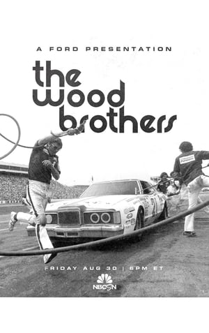 The Wood Brothers poszter