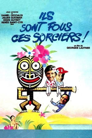 Ils sont fous ces sorciers poszter
