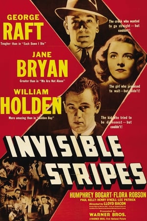 Invisible Stripes poszter