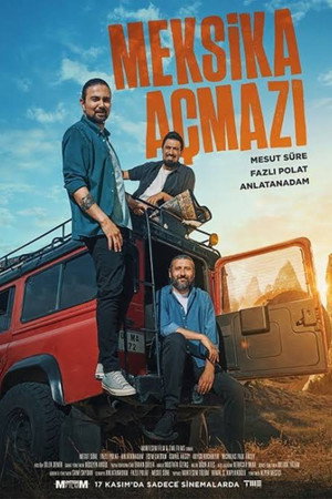 Meksika Açmazı poszter